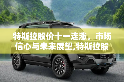 特斯拉股价十一连涨，市场信心与未来展望,特斯拉股价十一连涨