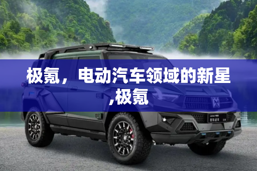 极氪，电动汽车领域的新星,极氪