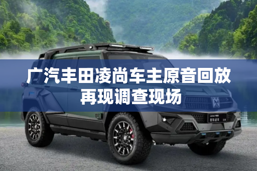 广汽丰田凌尚车主原音回放 再现调查现场