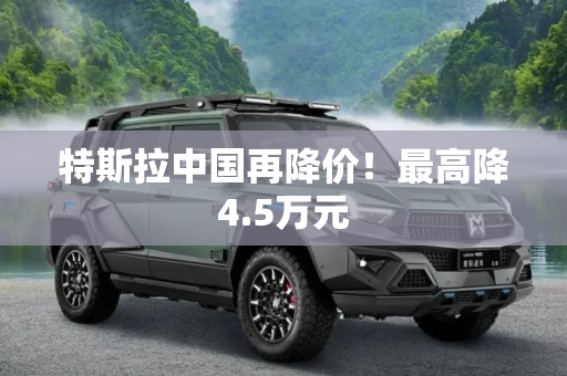 特斯拉中国再降价！最高降4.5万元