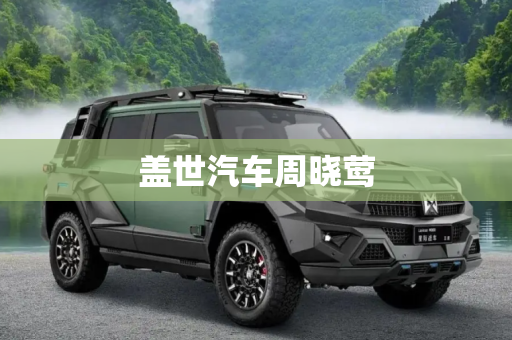 盖世汽车周晓莺
