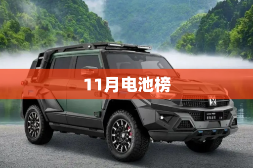 11月电池榜