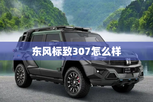 东风标致307怎么样