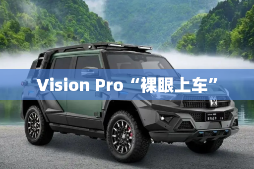 Vision Pro“裸眼上车”