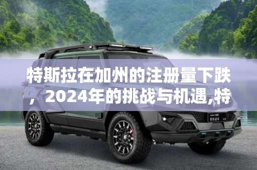 特斯拉在加州的注册量下跌，2024年的挑战与机遇,特斯拉2024年加州注册量下跌12%