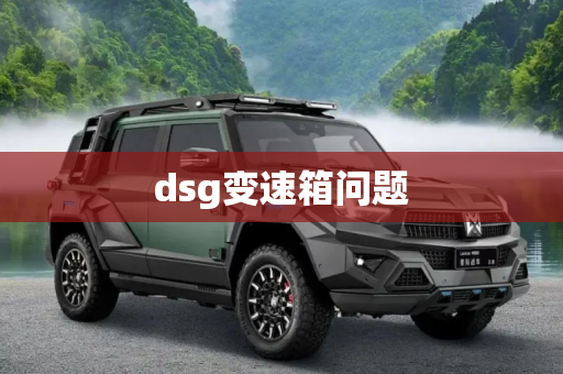 dsg变速箱问题