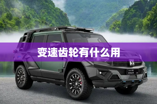 变速齿轮有什么用