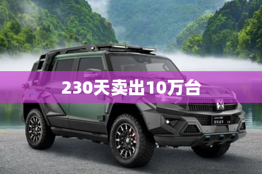 230天卖出10万台