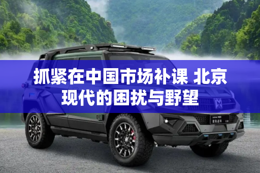 抓紧在中国市场补课 北京现代的困扰与野望