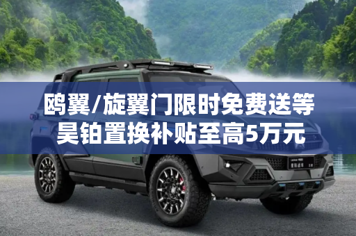 鸥翼/旋翼门限时免费送等 昊铂置换补贴至高5万元