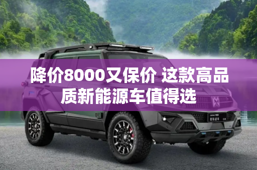 降价8000又保价 这款高品质新能源车值得选