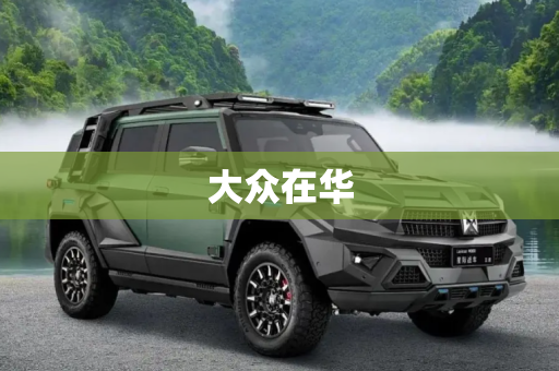 大众在华