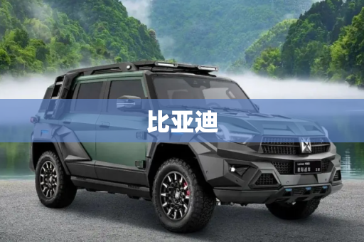 比亚迪