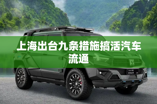 上海出台九条措施搞活汽车流通