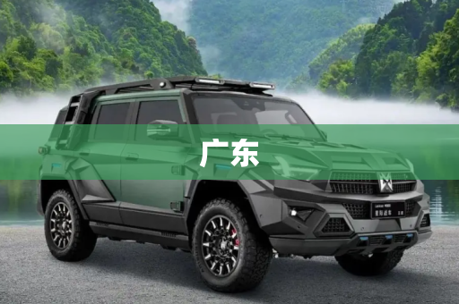 百科 第31页