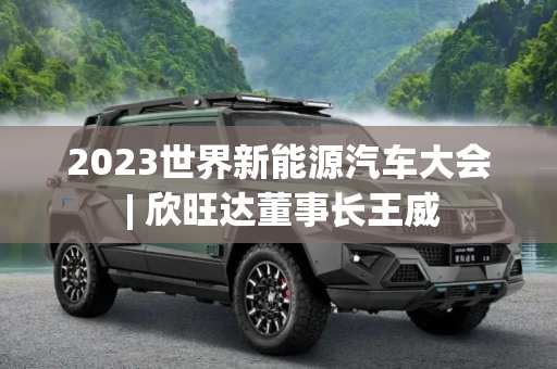 2023世界新能源汽车大会 | 欣旺达董事长王威