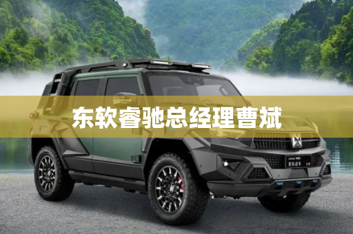 东软睿驰总经理曹斌