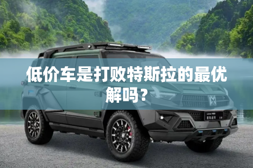 低价车是打败特斯拉的最优解吗？