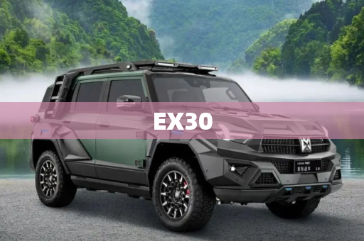 EX30