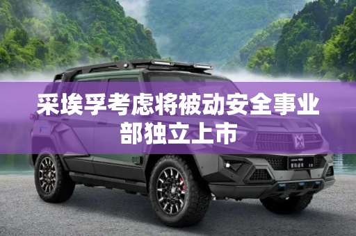 采埃孚考虑将被动安全事业部独立上市
