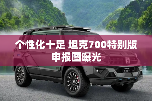 个性化十足 坦克700特别版申报图曝光