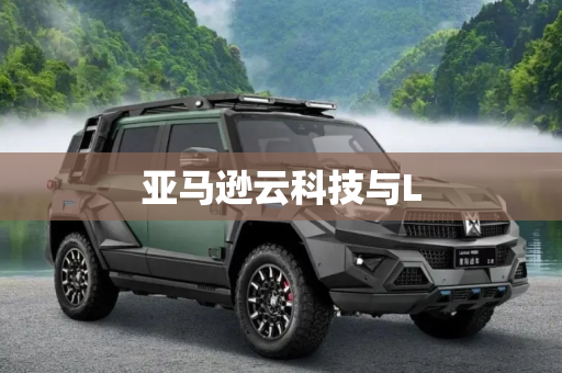 亚马逊云科技与L