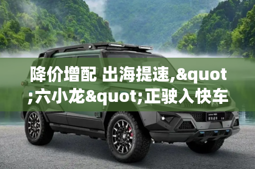 降价增配 出海提速,"六小龙"正驶入快车道?
