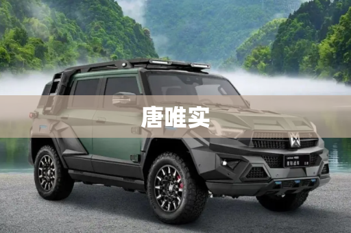 唐唯实