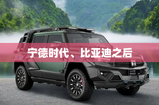 宁德时代、比亚迪之后