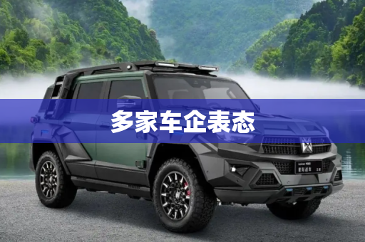 多家车企表态