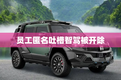 员工匿名吐槽智驾被开除