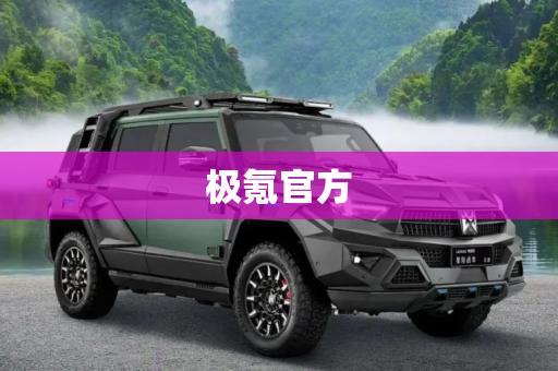 极氪官方