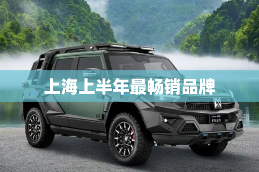 上海上半年最畅销品牌