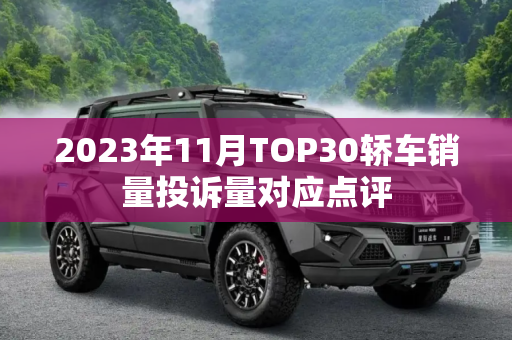 2023年11月TOP30轿车销量投诉量对应点评