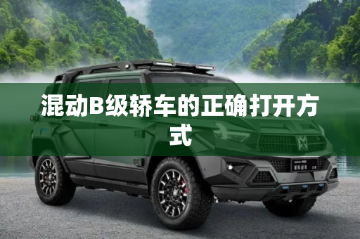混动B级轿车的正确打开方式
