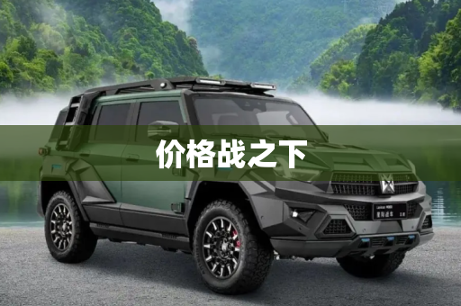 价格战之下