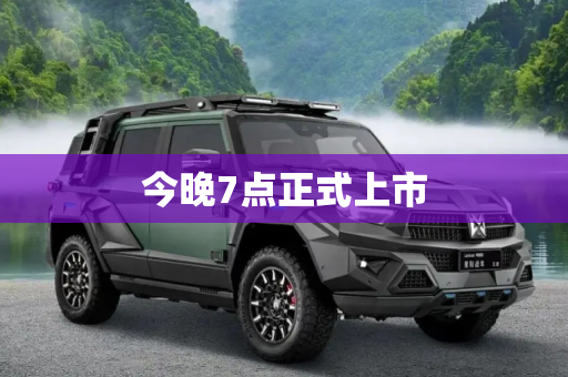 今晚7点正式上市