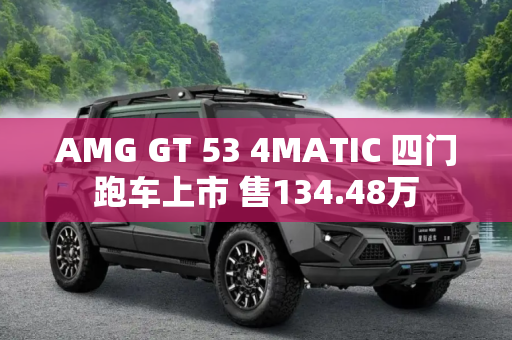 AMG GT 53 4MATIC 四门跑车上市 售134.48万