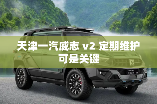 天津一汽威志 v2 定期维护可是关键