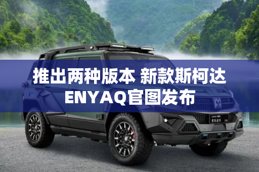 推出两种版本 新款斯柯达ENYAQ官图发布