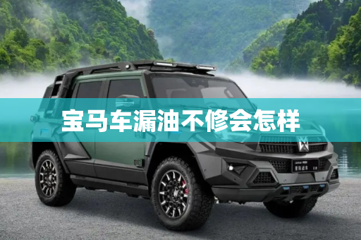 宝马车漏油不修会怎样