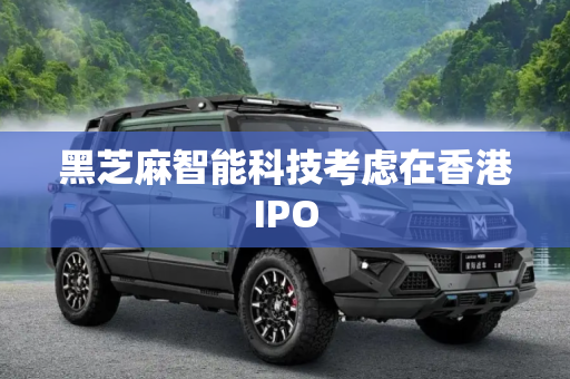黑芝麻智能科技考虑在香港IPO