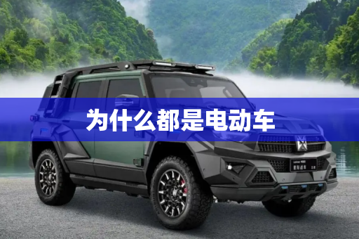为什么都是电动车