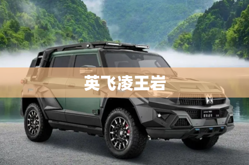 英飞凌王岩
