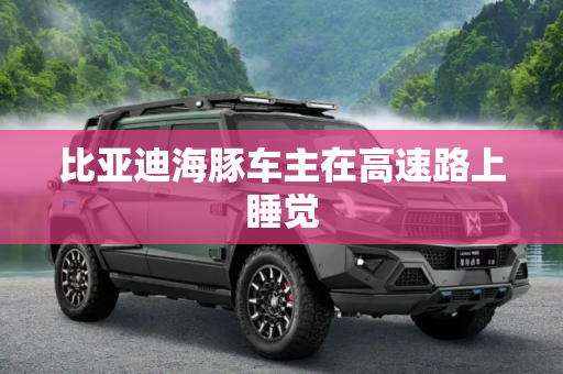 比亚迪海豚车主在高速路上睡觉