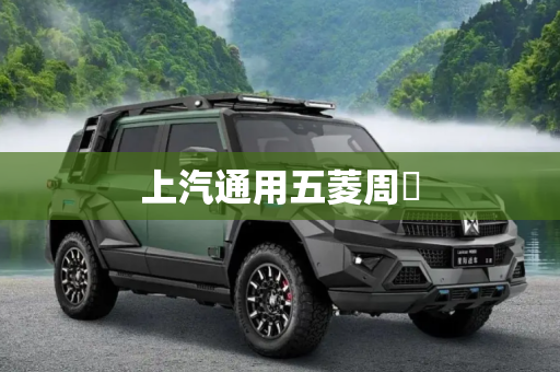 上汽通用五菱周钘