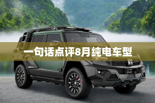 一句话点评8月纯电车型