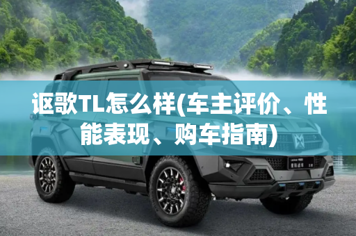 讴歌TL怎么样(车主评价、性能表现、购车指南)