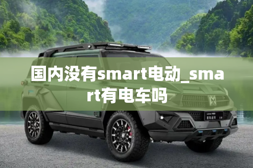 国内没有smart电动_smart有电车吗
