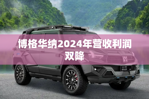 博格华纳2024年营收利润双降